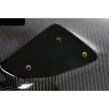 Garage Unique Carbon Fiber Rear Wing FL5