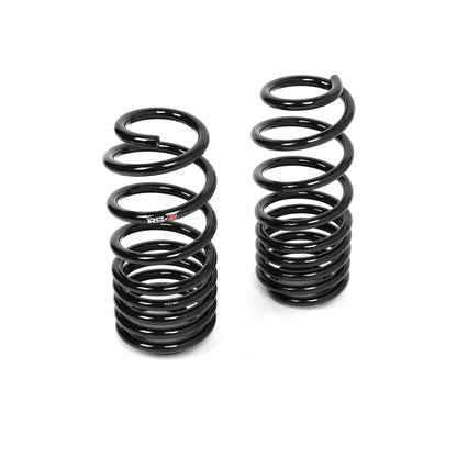 RS-R Down SUS Lowering Springs FL5 Civic Type R