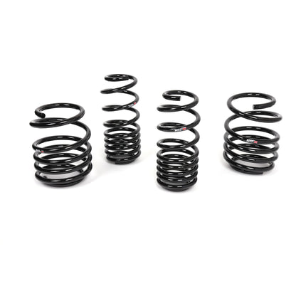 RS-R Down SUS Lowering Springs FL5 Civic Type R