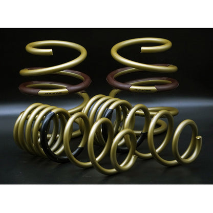 J's Racing Hyper Springs  23+ Civic Type R FL5